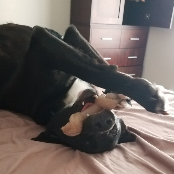 Meet your Posher, Alex - Picture 3 of 6